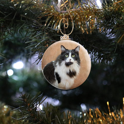 Cat Photo Ornament