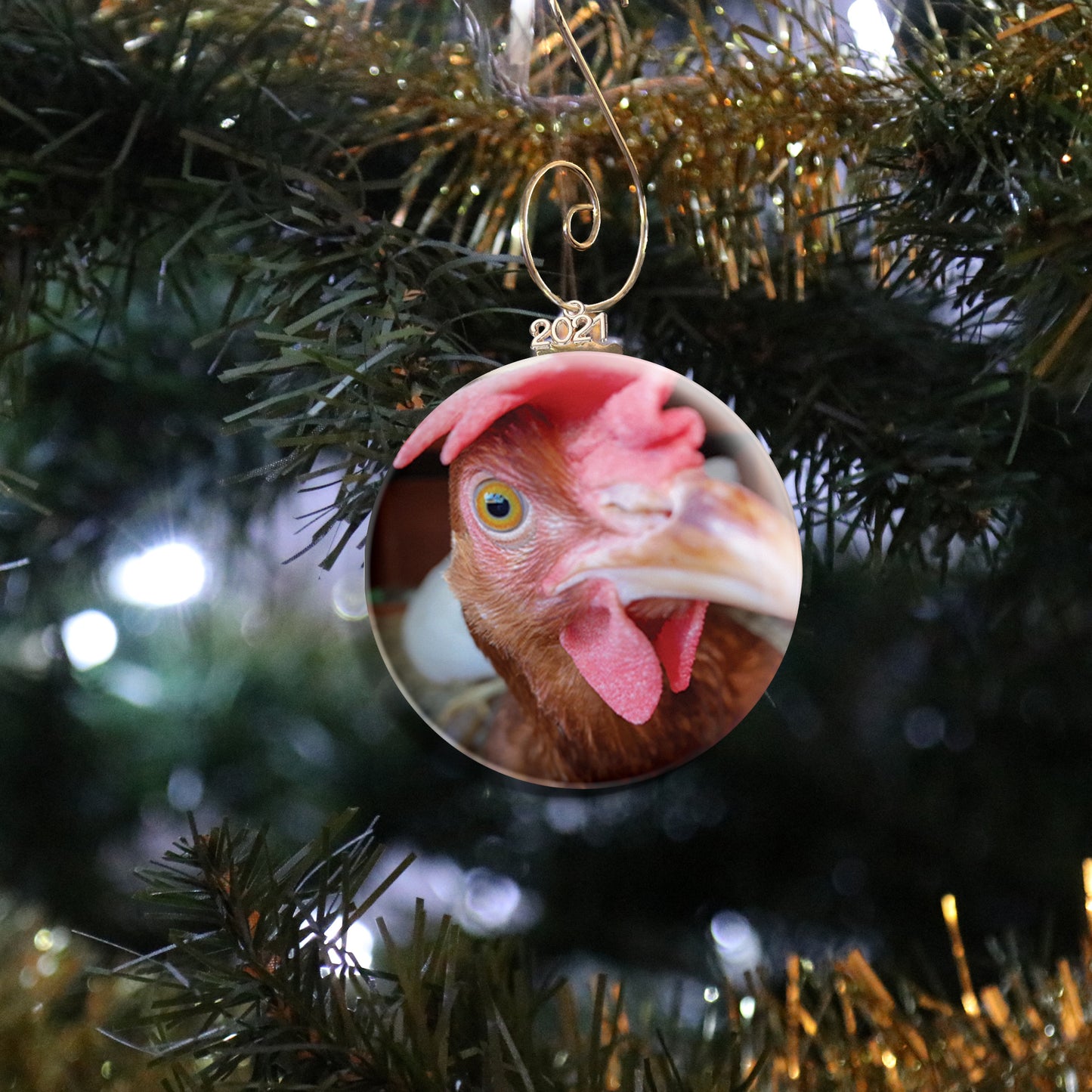 Chicken Photo Ornament