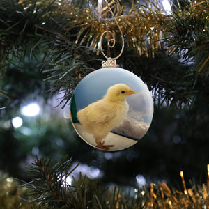 Chicken Photo Ornament