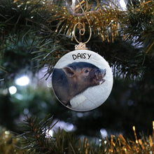 Load image into Gallery viewer, Pig Photo Ornament
