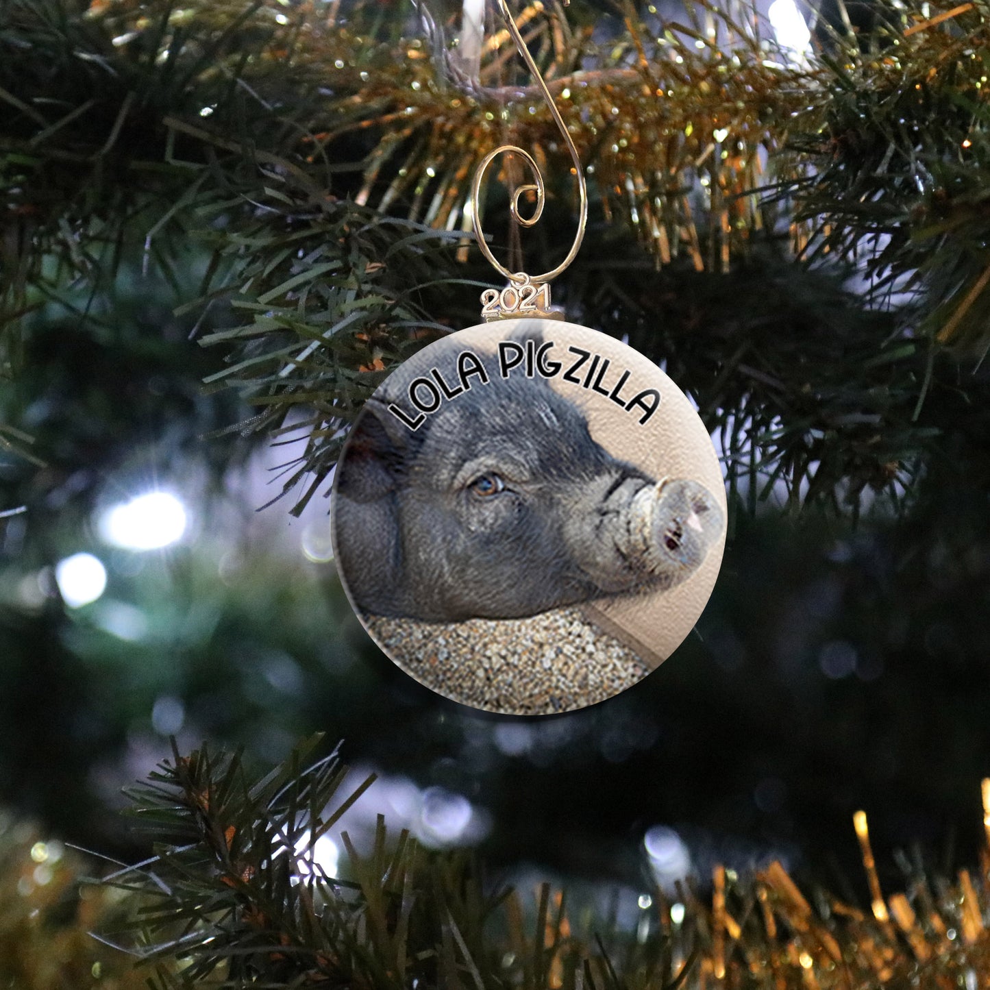 Pig Photo Ornament