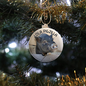 Pig Photo Ornament