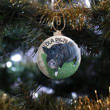 Load image into Gallery viewer, Pig Photo Ornament
