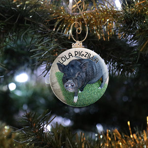Pig Photo Ornament