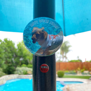 Beauty Is In The Eye Of The Beer Holder Bottle Opener